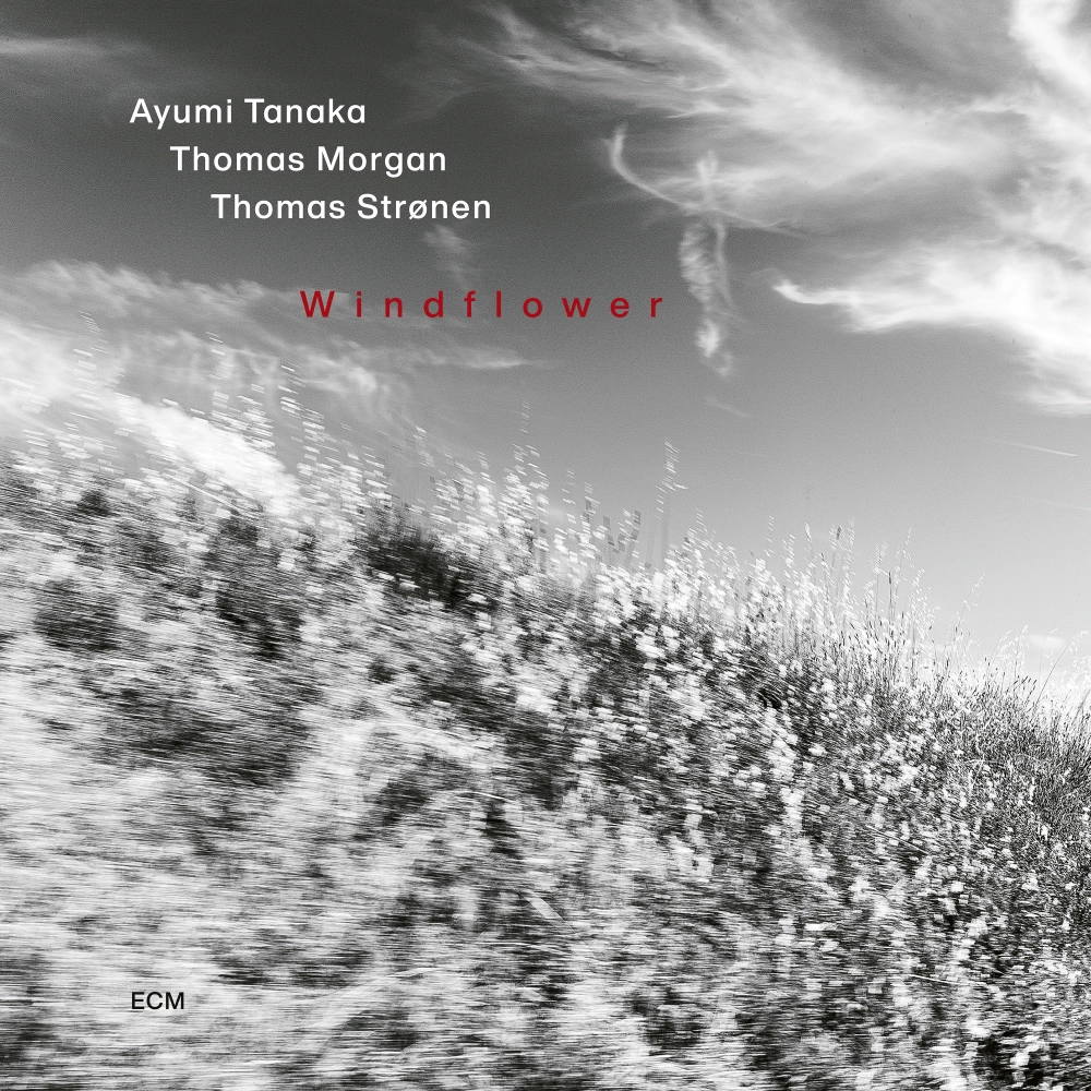 Album artwork — Ayumi Tanaka, Windflower