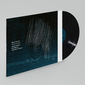 Thumbnail navigation